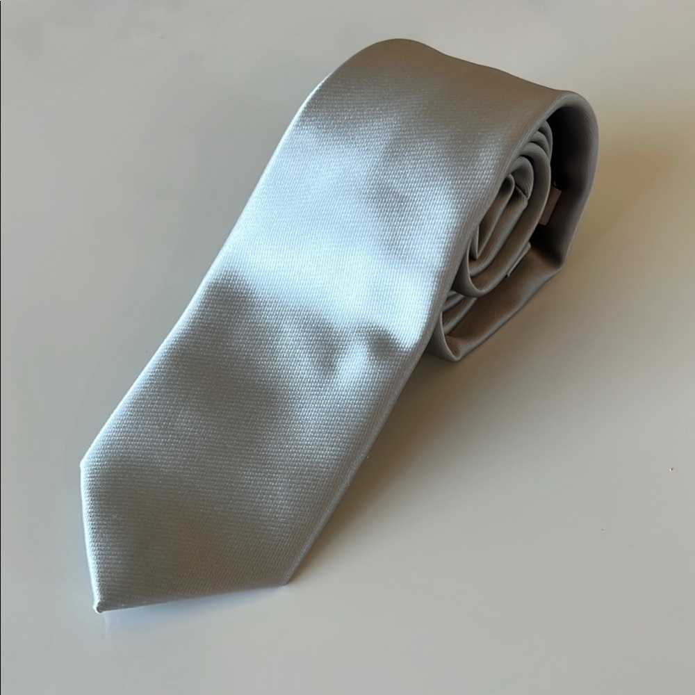 Le Chateau Silver Tie